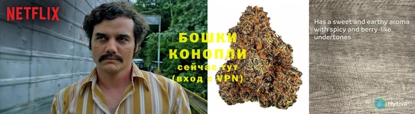 гашик Зеленодольск